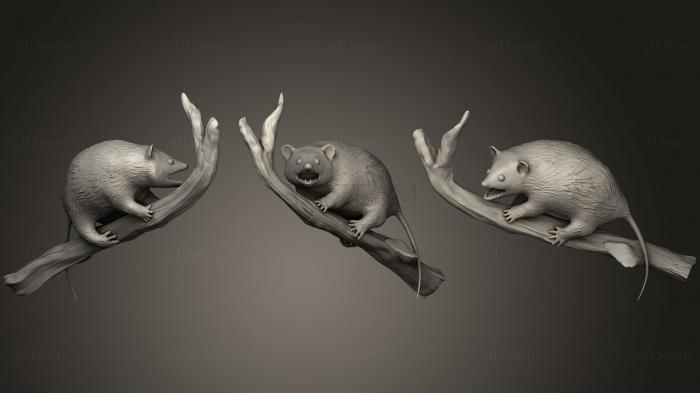 3D model Opossum On Branch (STL)